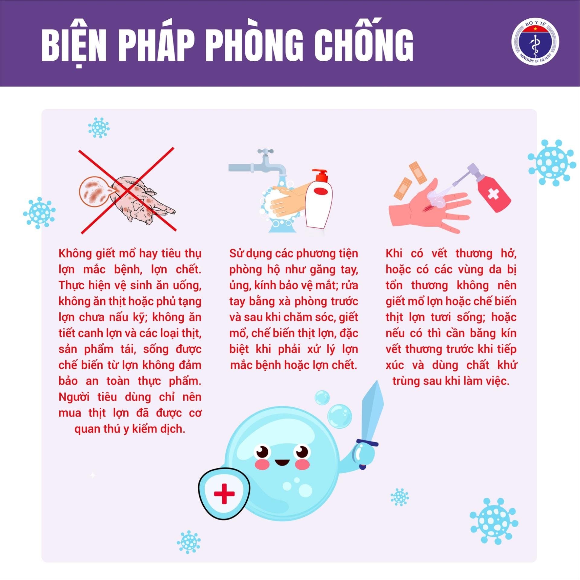 Phòng, chống bệnh liên cầu lợn ở người